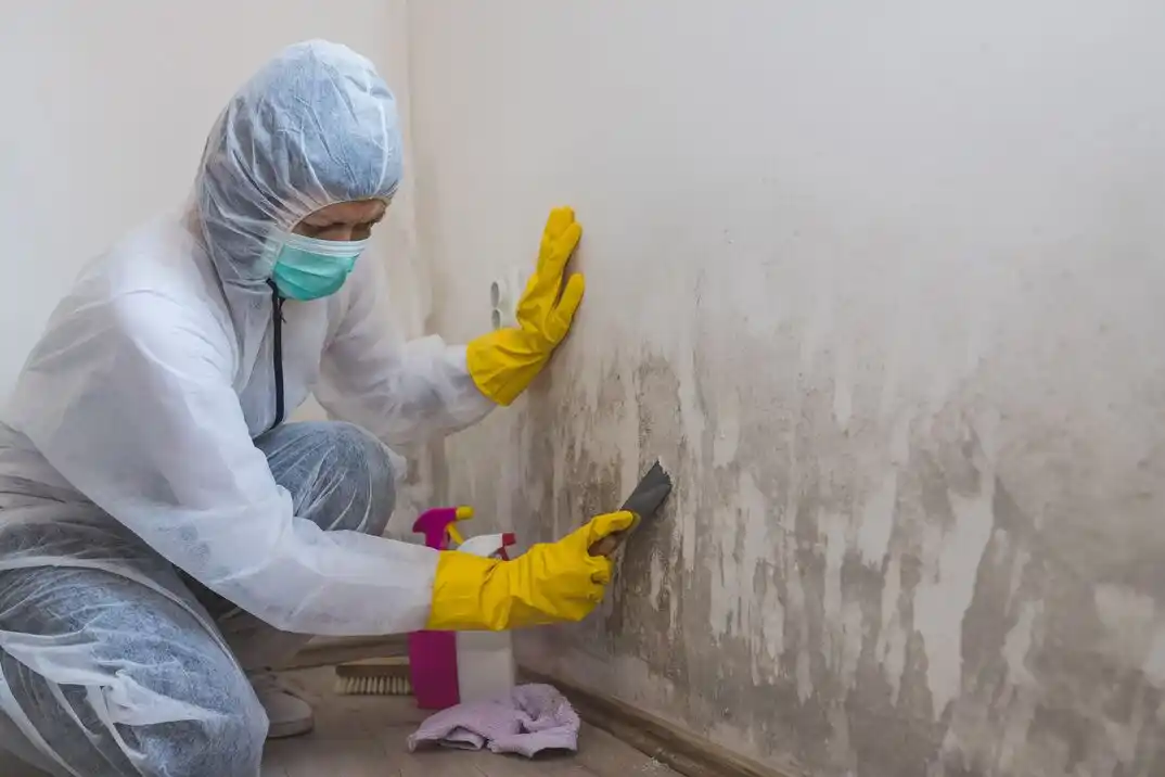 water damage restoration service Woodward Park